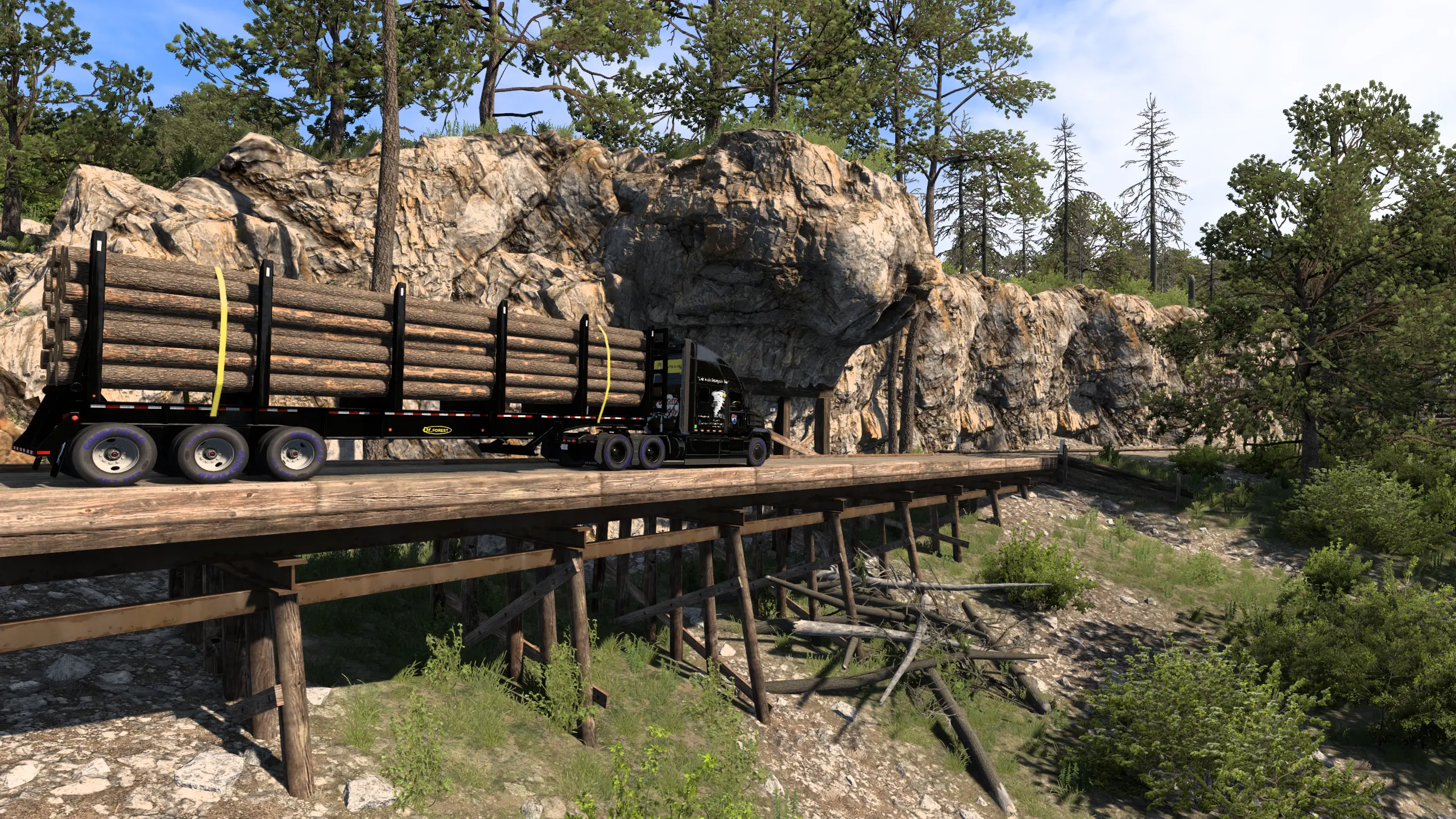 ATS Arkansas Logging